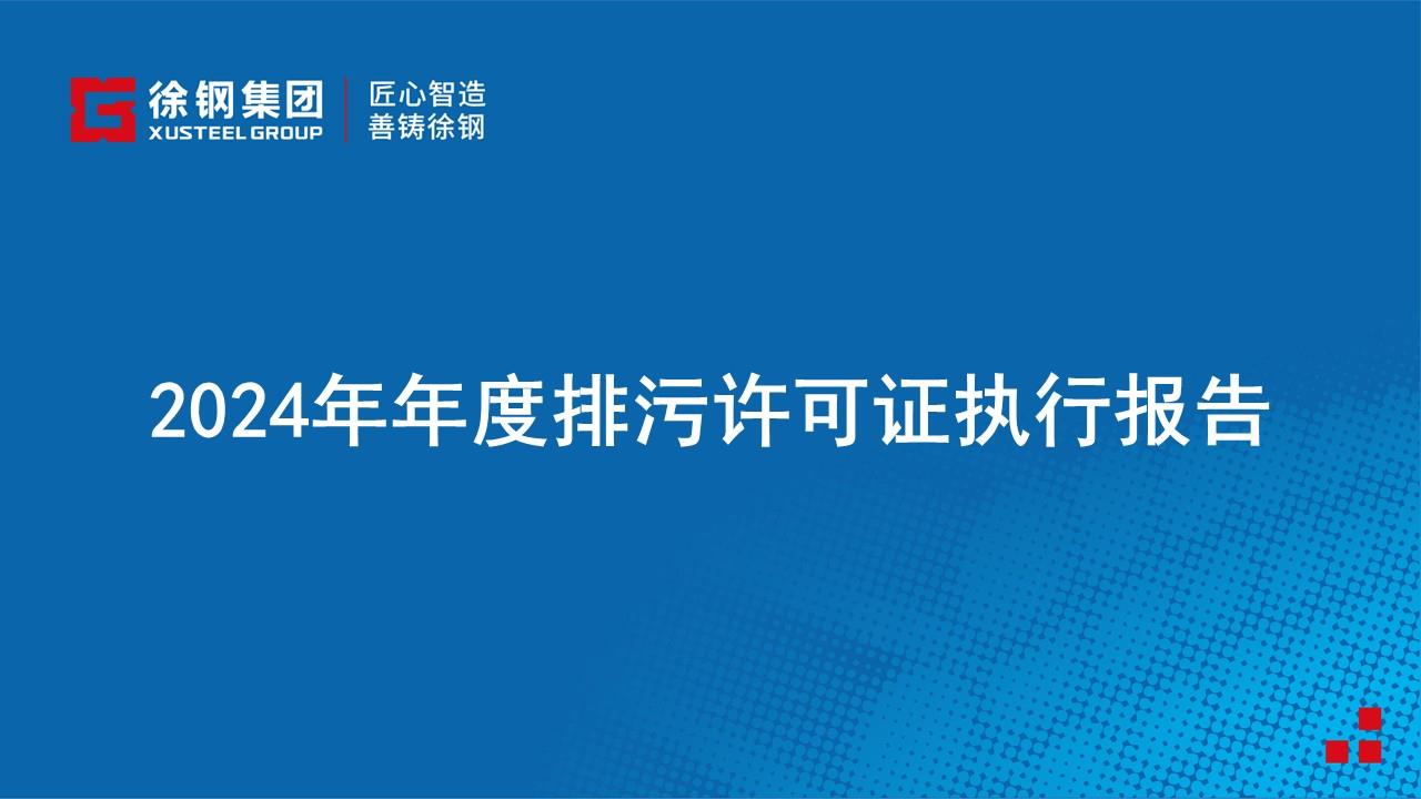 2024年年度排污许可证执行报告